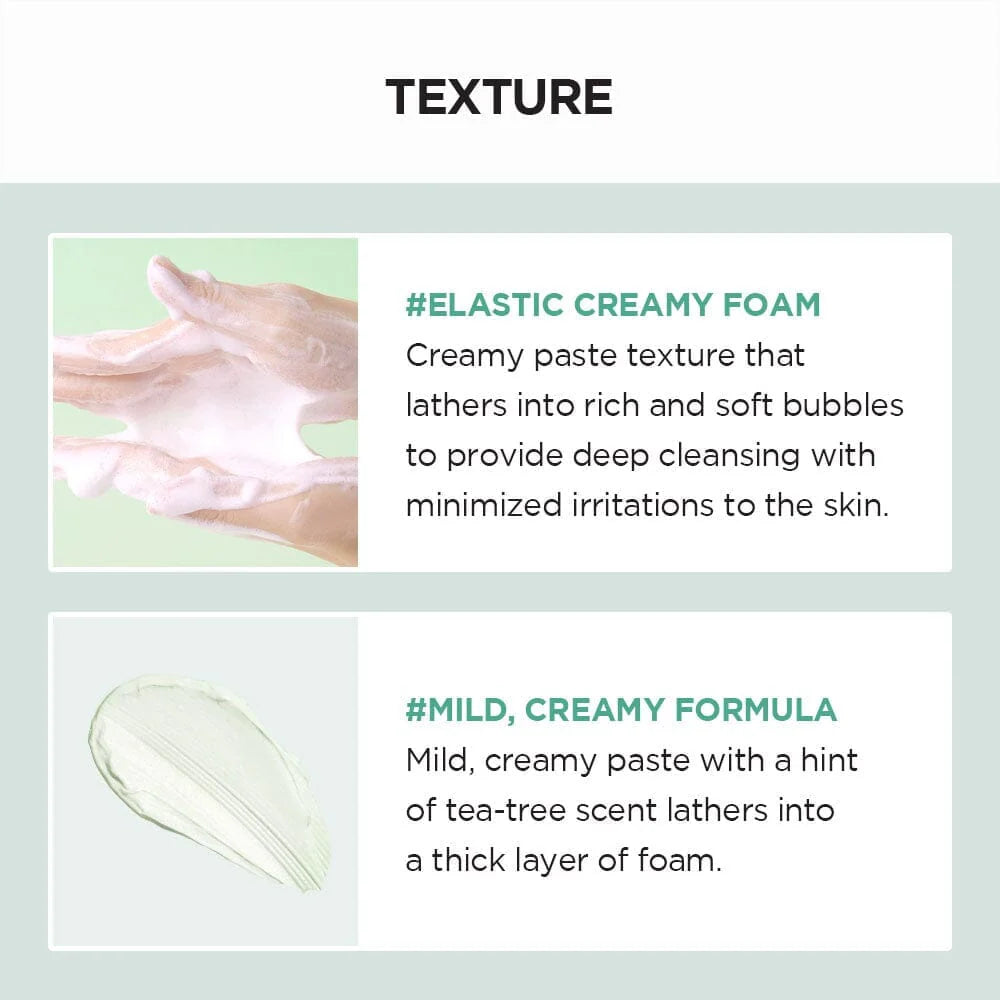 Skin 1004 Madagascar Centella Tea Trica Bha Foam
